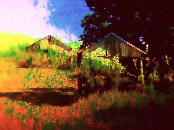 Two Old Barns