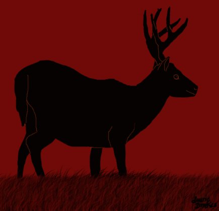 Buck1