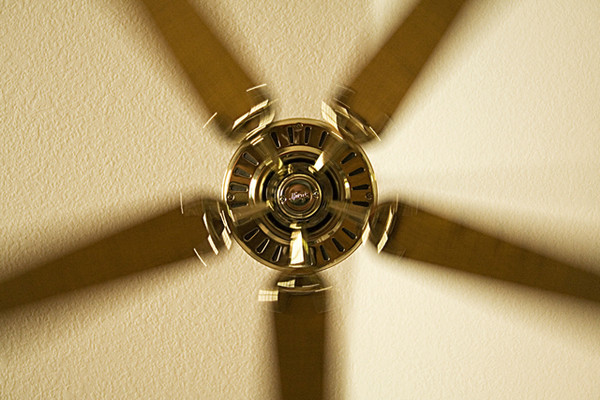 Fan 1