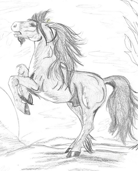 Regal Black stallion