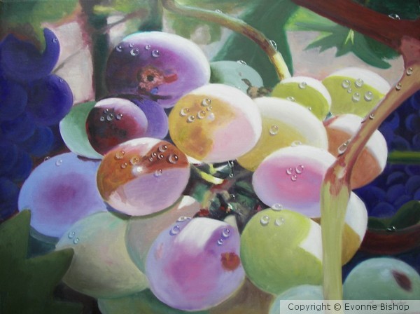 Grapevine Dew Drops