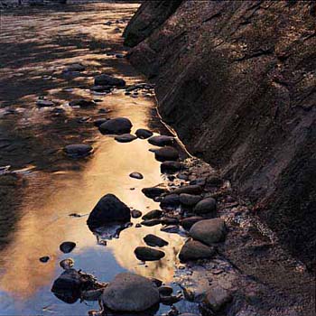 Zion's Water