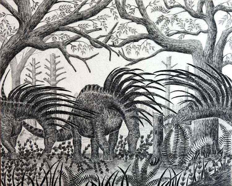 A Bajadasaurus Herd in the Early Cretaceous