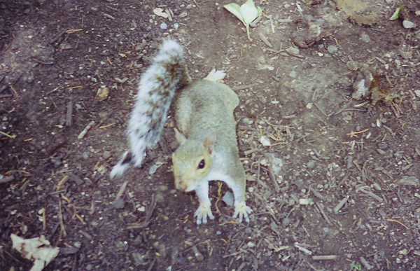 A friendly visitor