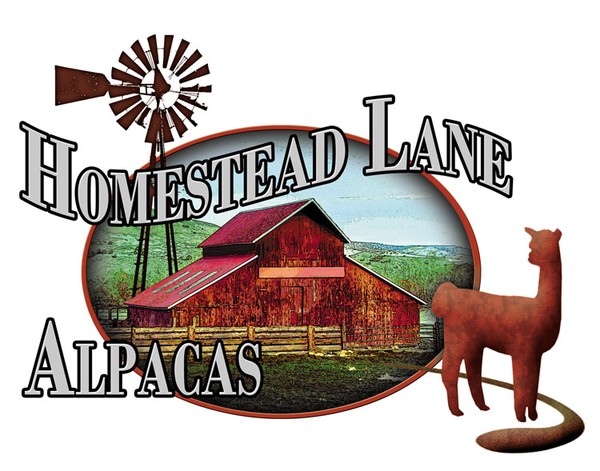 Homestead Lane Alpacas Logo