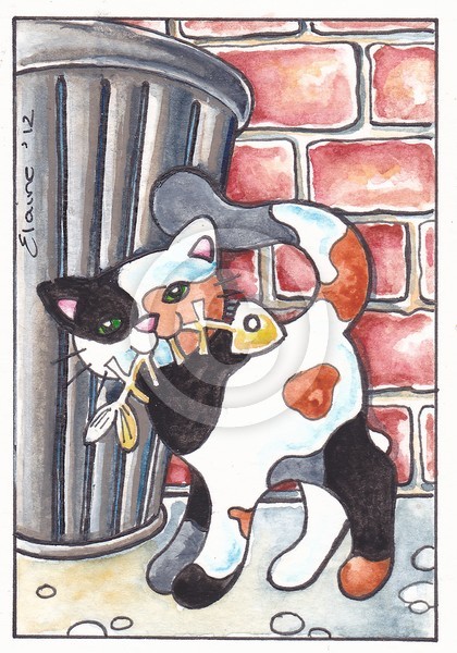 Alley cat