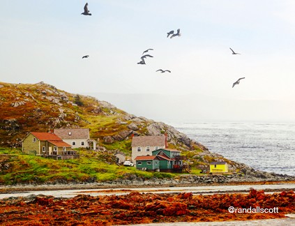 LIVING COASTAL