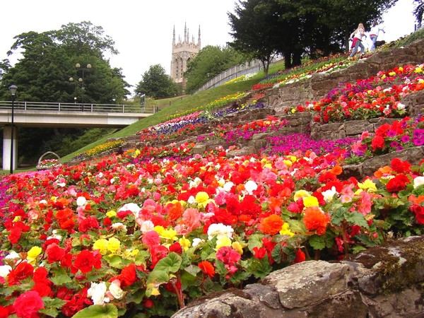 Stapenhill Gardens