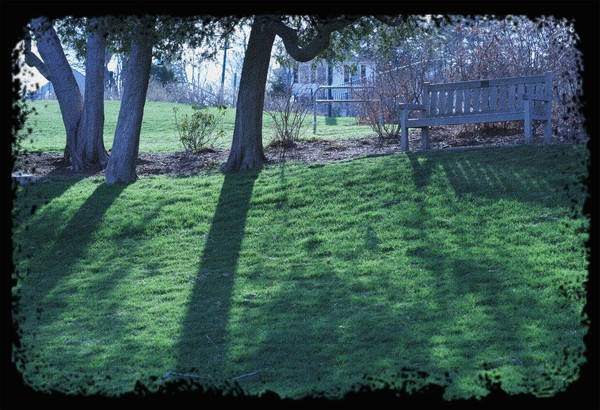 Shadows