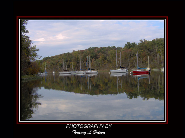 Reflections of Fall