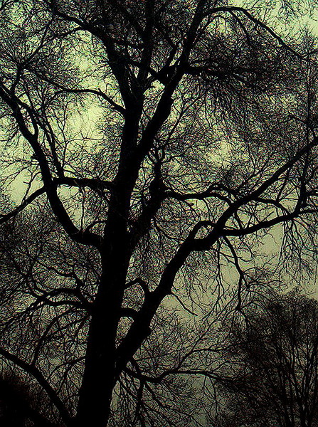 lost in greens