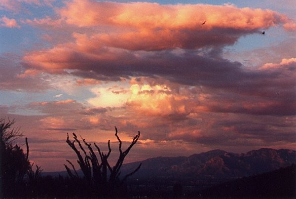 Sunset over the Catalinas