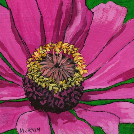 Purple Zinnia
