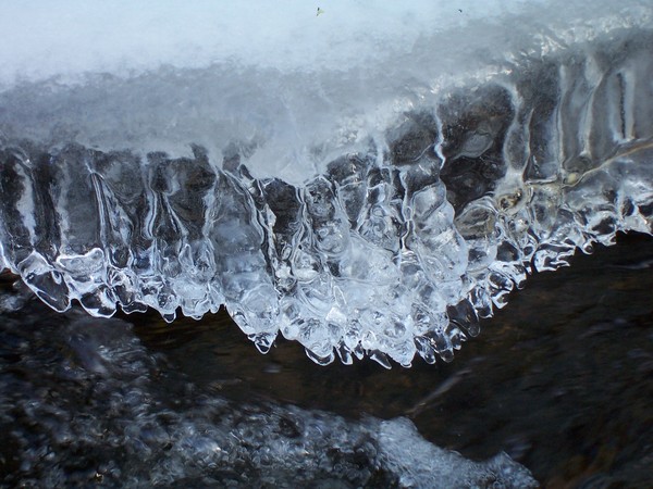 Winter Lace