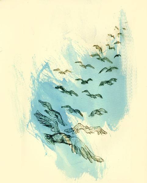 Fly away