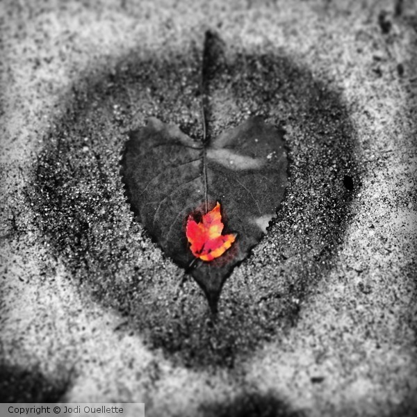 Heart