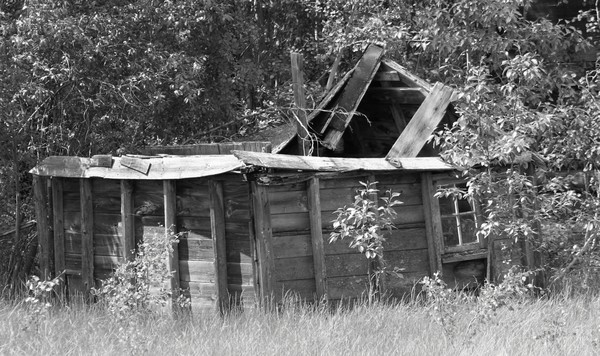 Fallen little Shack