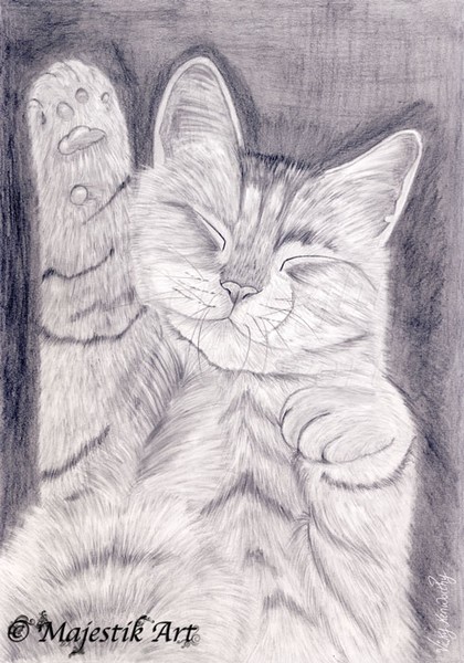 Paws