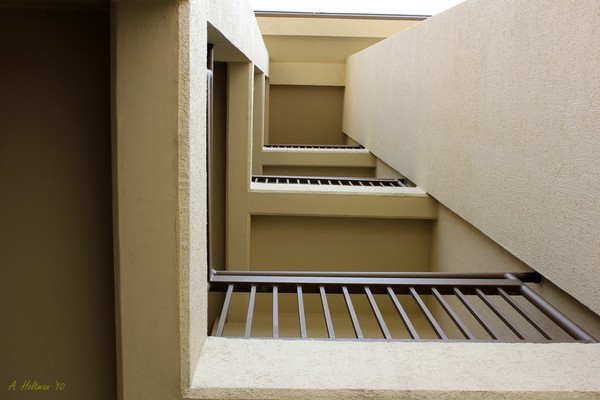 Lines & Angles