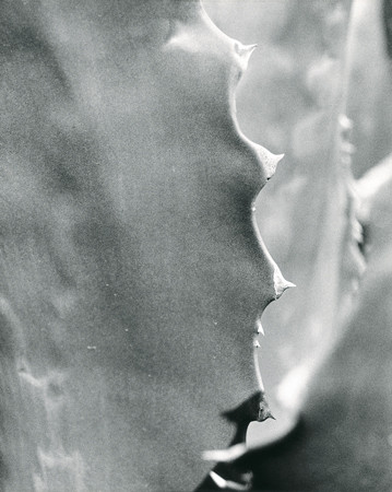 There is a beauty in pain also.