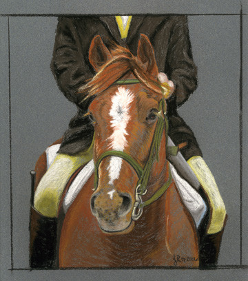 Dressage