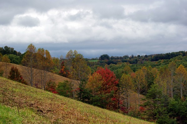 Favorite Road in Fall