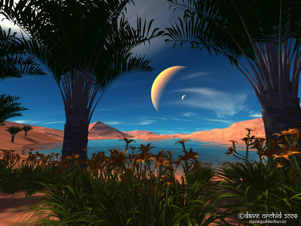 Paradise Beach