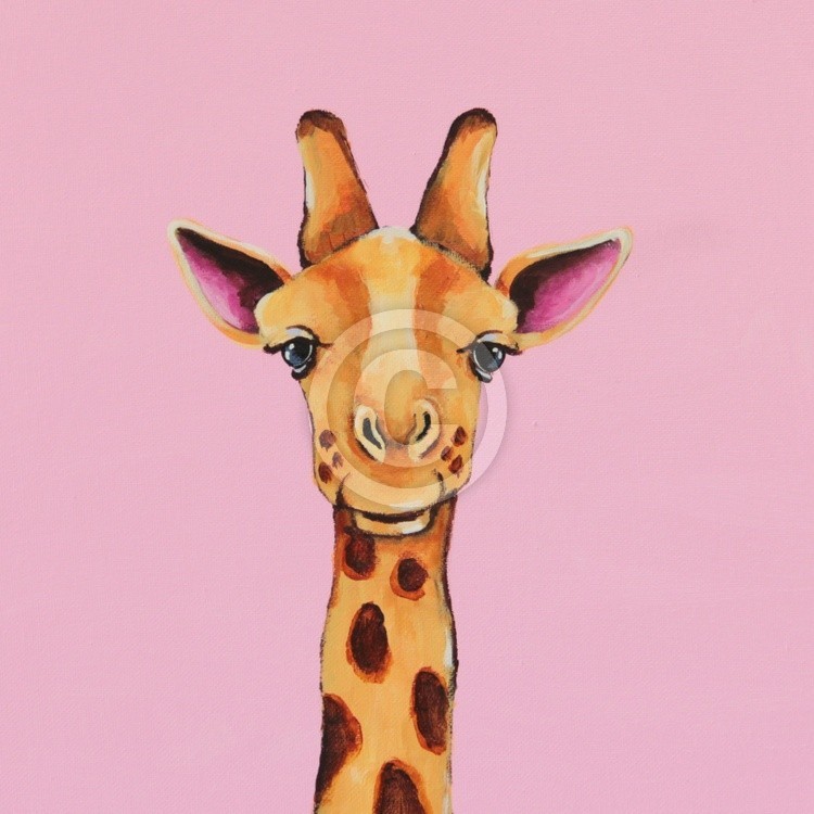 Baby Giraffe