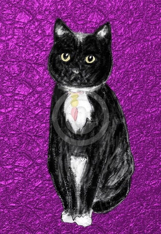 Cat P
