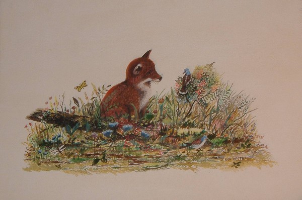 Fox and birds
