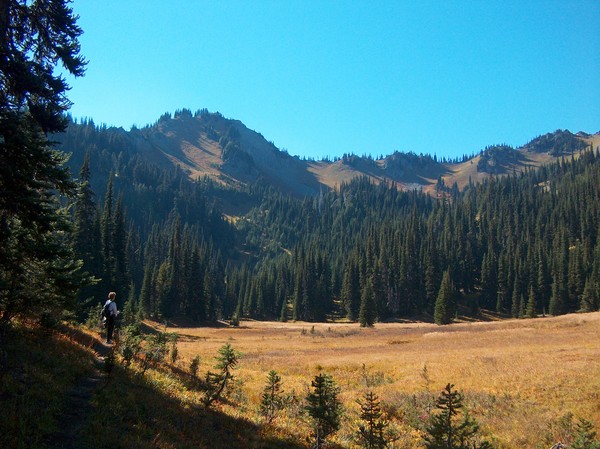 Over the Meadow and Thru the Woods....