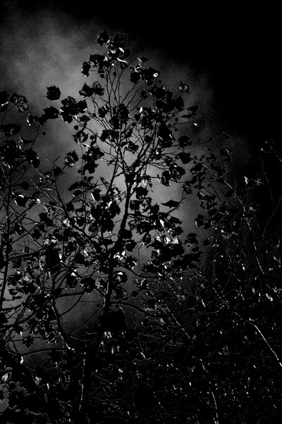 darkness darkness