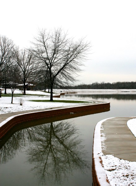 Reflection