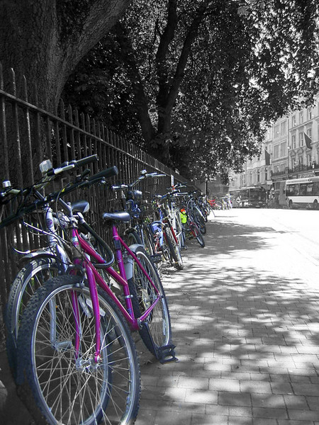 bikes and more bikes