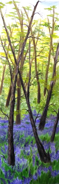 Bluebell Woods