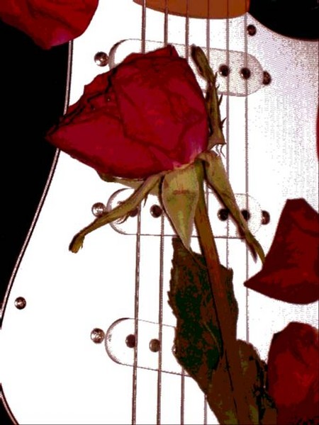 Music is Beauty and Nature