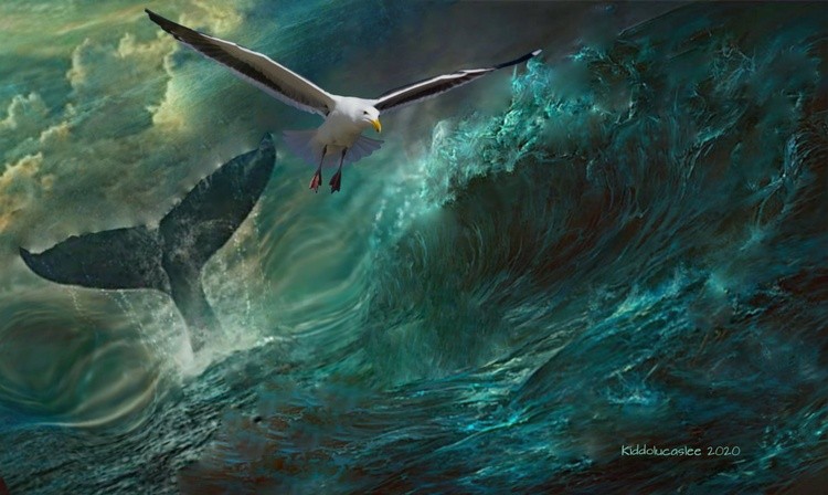Waves of Moses  High Order * 2020 Kiddolucaslee