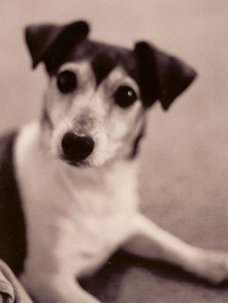 Peanut