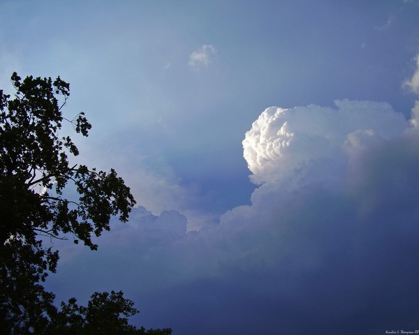 Speaking Skies