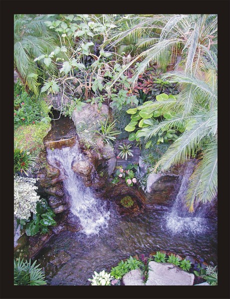 Falls (c)