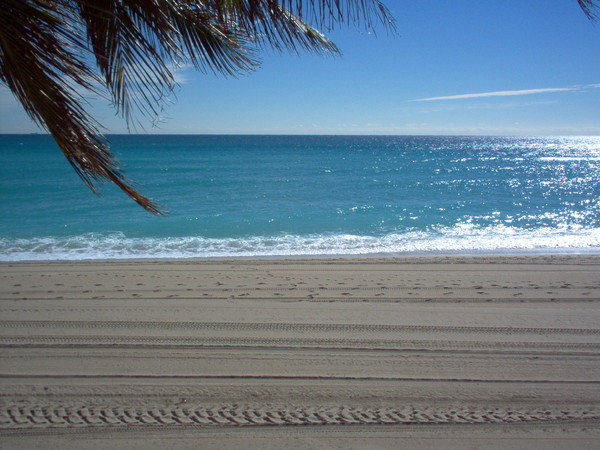 the beach