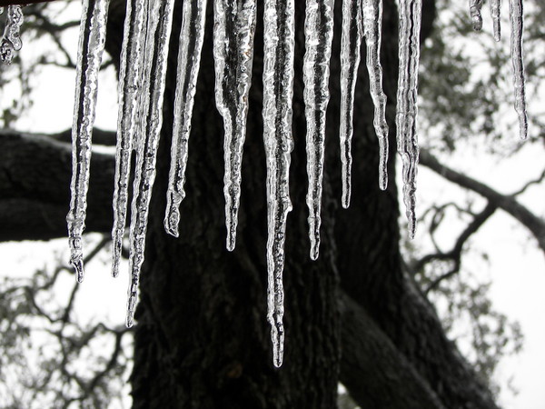 icicles