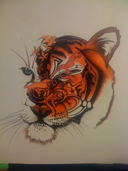 Eye of the Tigress