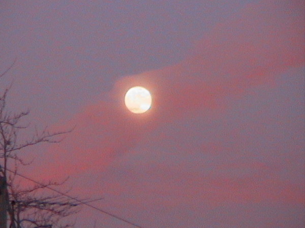 Moon Rise 2
