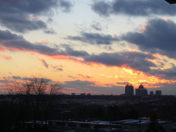Winter Skies