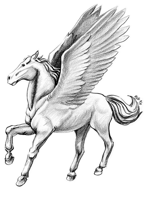 Pegasus