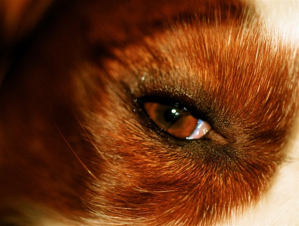 Here's Looking At You