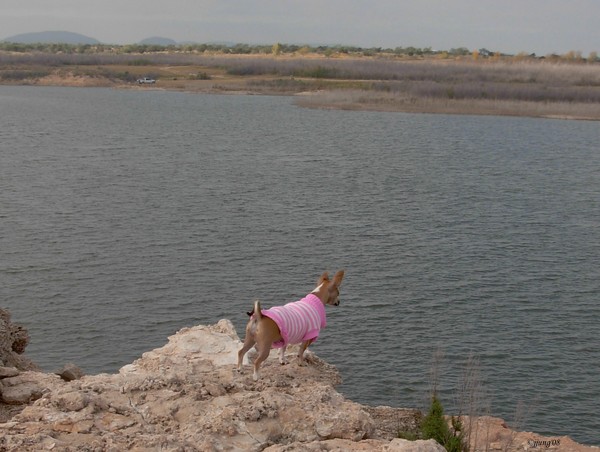 Tee Tee . . .Living On The Edge~~