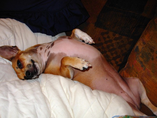 Rub My Pwuty Belwee Sassy . . .