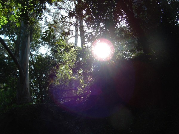 The white light